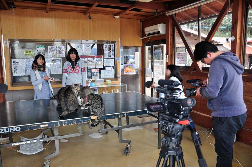 テレビ東京の撮影だにゃ　2/17_b0214652_19383522.jpg