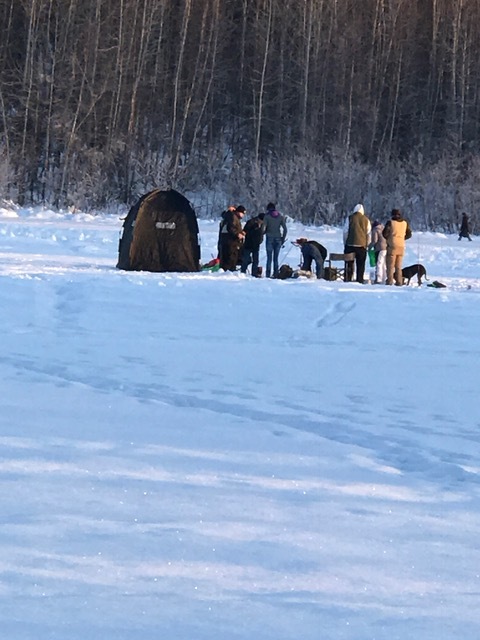 d0143355_05575397.jpeg