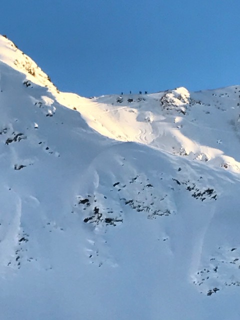 d0143355_07035760.jpeg