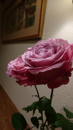 a0208560_16061204.jpg