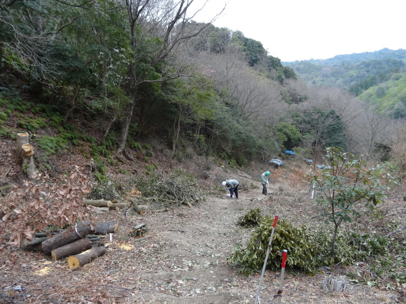 c0108460_18501680.jpg