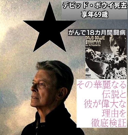 <2016年2月5日>デビッド・ボウイ回顧展・【DAVID BOWIE is】鑑賞・・・彼の心境によせて_c0119160_615084.jpg