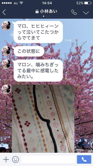 c0260264_16203780.png