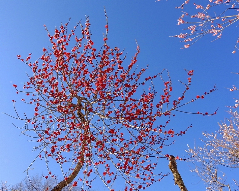 c0305565_17413588.jpg