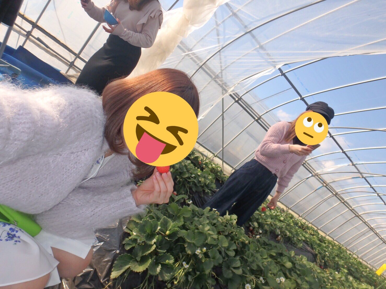 a0147391_16584576.jpg