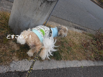 f0372998_09434554.jpg