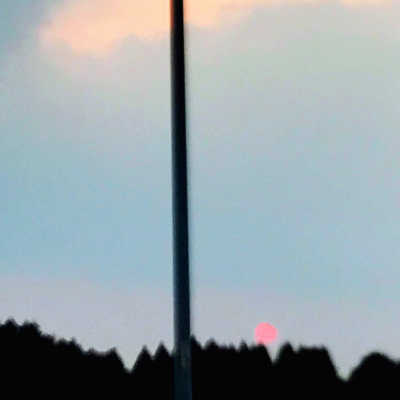 a0167912_08300859.jpg