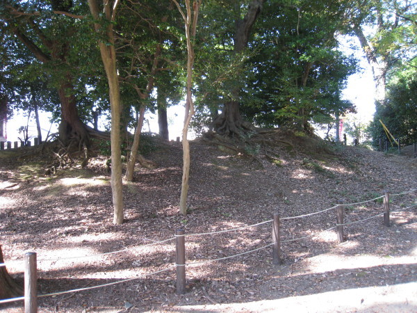 猪名野神社（いなのじんじゃ、伊丹市）_d0287413_13443334.jpg