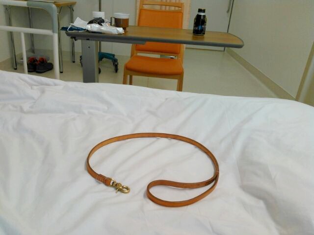 e0204314_08281400.jpg