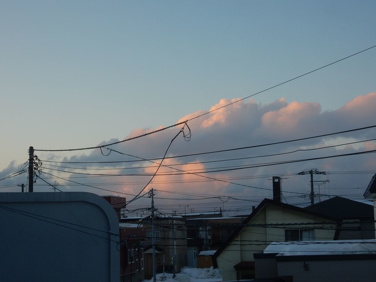 寒の戻りにかわいらしい足跡_c0025115_21500089.jpg