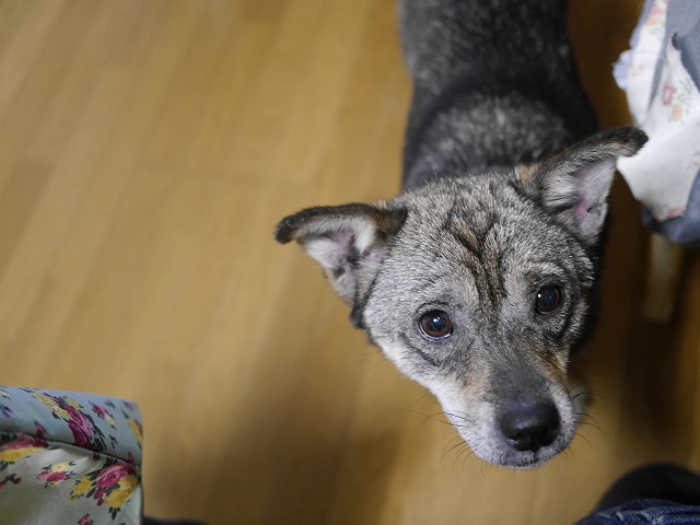 f0282319_1372121.jpg