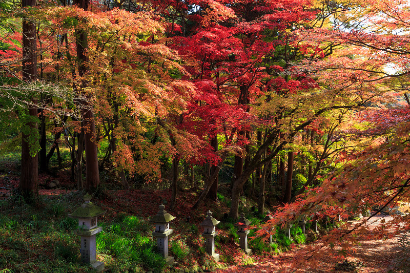 胡宮神社の紅葉_f0155048_19242048.jpg