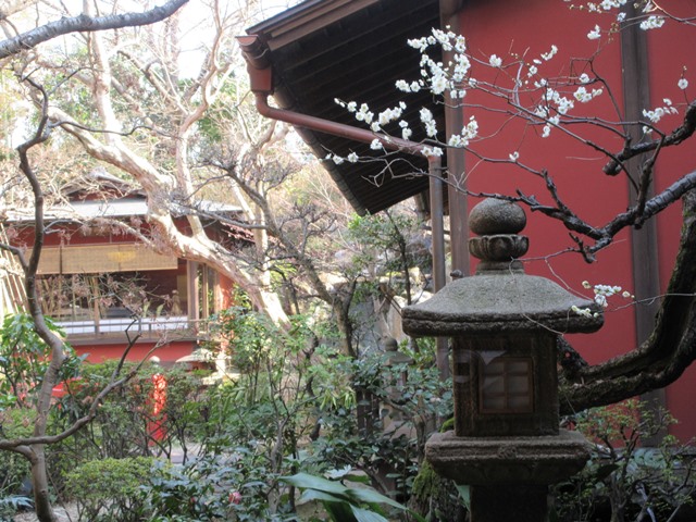 とうふ屋うかい うかいでお豆腐ランチ 鷺沼店 お散歩アルバム 春日和いちご日和