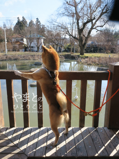 a0286855_07274201.gif