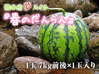 夢スイカ　温度管理、つる引き、交配！今年もとことん手をかけ“本物”と呼べるスイカを育てます！後編_a0254656_1871068.jpg