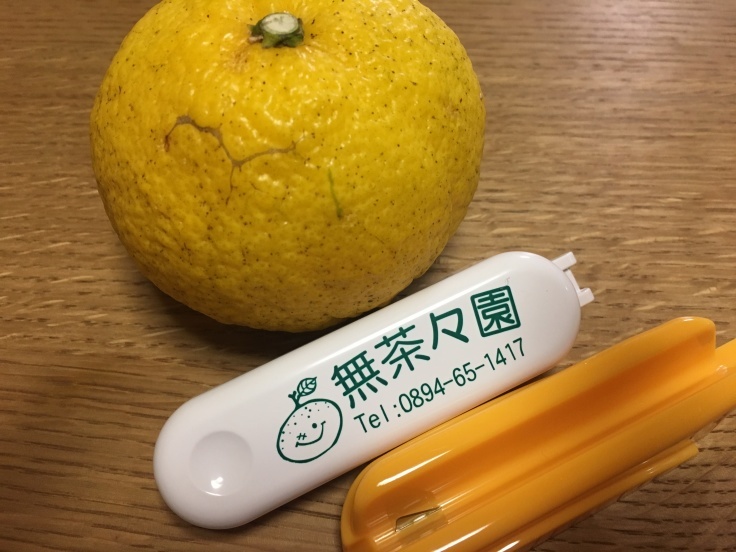 柑橘♪_e0356470_10394325.jpg