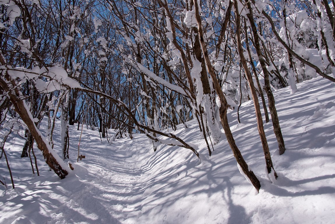 暑かった三峰山　3_c0350572_18093383.jpg