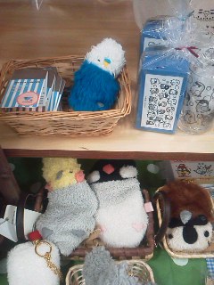 鳥展始まりました！３店舗で鳥展、インコと鳥の雑貨展開催中_d0322493_2334422.jpg