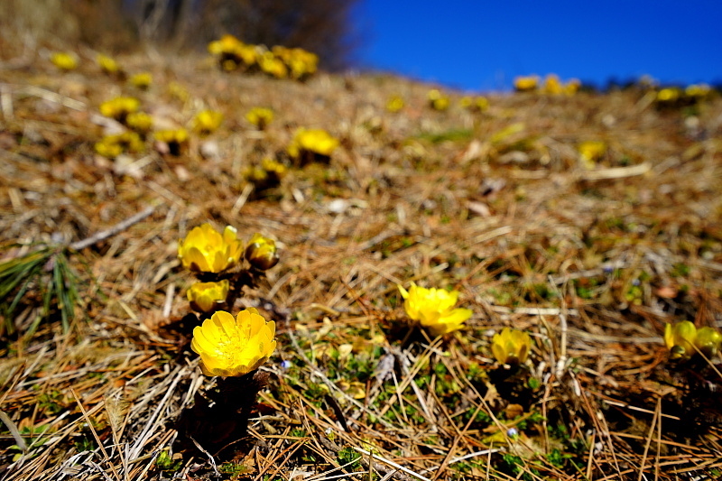 c0339900_20215034.jpg