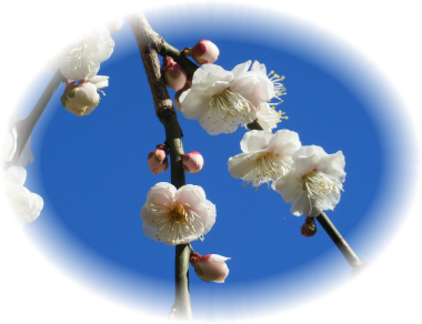 c0125501_23303545.png