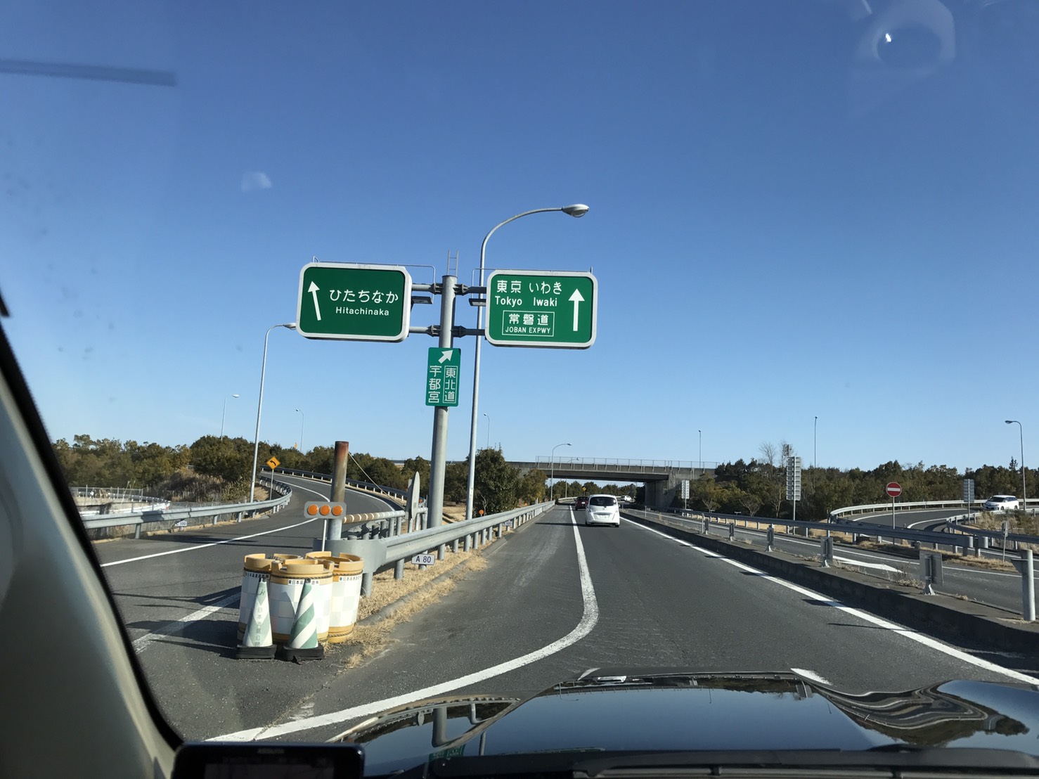 2月19日 今日はゆとりが代筆します!日曜日のマサブロヽ(^。^)ノ _b0127002_1845563.jpg
