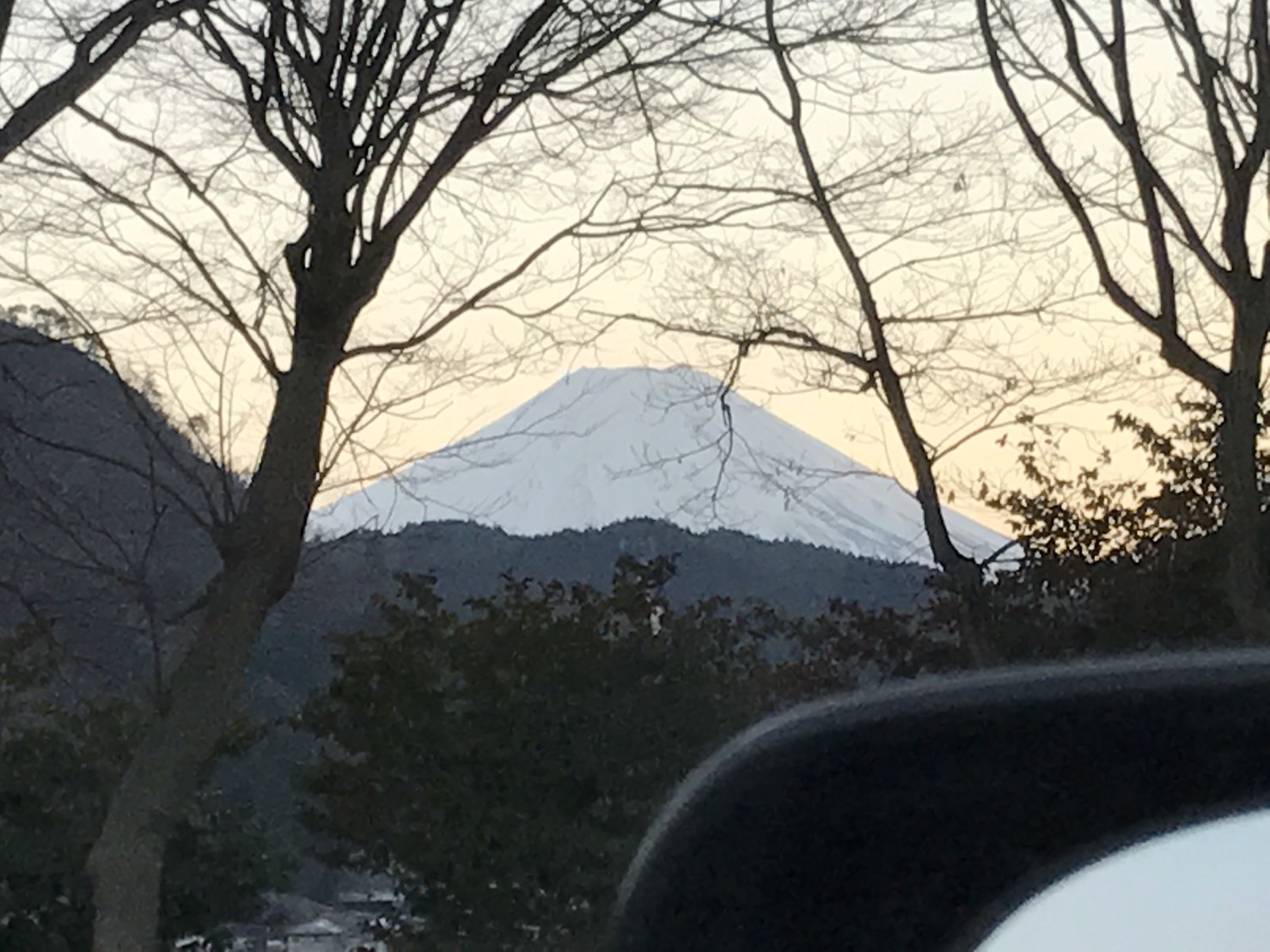 2月19日 今日はゆとりが代筆します!日曜日のマサブロヽ(^。^)ノ _b0127002_1863766.jpg