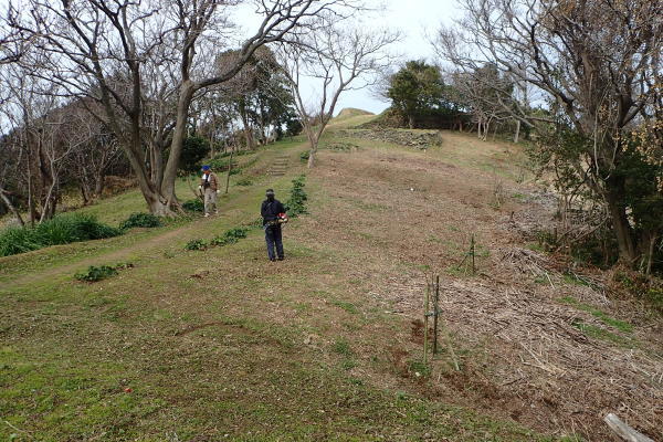 トンガの鼻自然クラブ　雑賀崎台場  春一番が吹きました。_c0367107_08074372.jpg