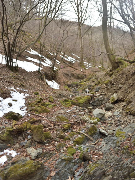 b0277008_17162357.jpg