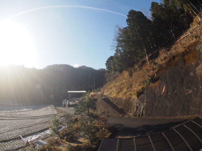 いいお天気♪_c0116915_236931.jpg