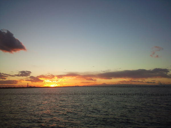 d0194120_1721981.jpg