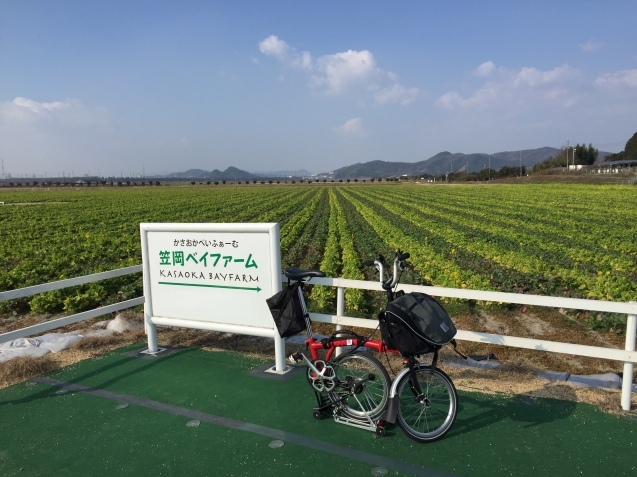 輪行袋「ころが～る」_b0360823_22391336.jpg