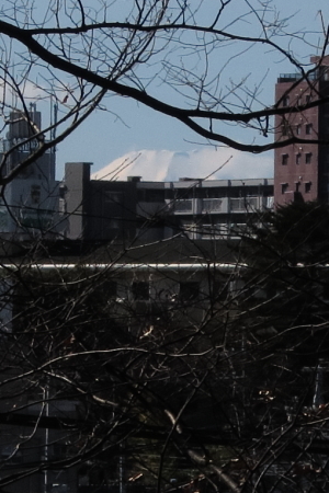 e0133025_21243425.jpg