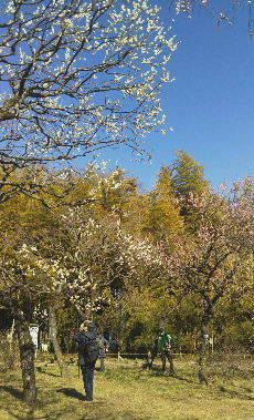 a0108328_19402945.jpg