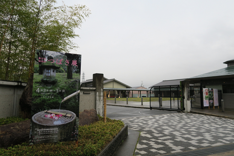 八幡市の桜 －松花堂庭園（前編）－_b0169330_17402622.jpg