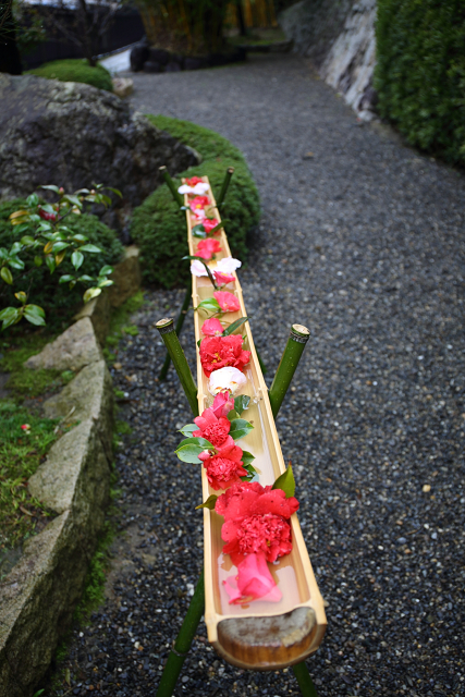 八幡市の桜 －松花堂庭園（前編）－_b0169330_17411916.jpg