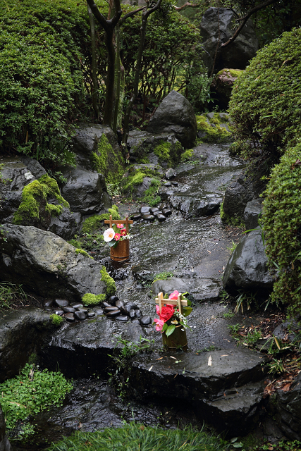 八幡市の桜 －松花堂庭園（前編）－_b0169330_17482358.jpg