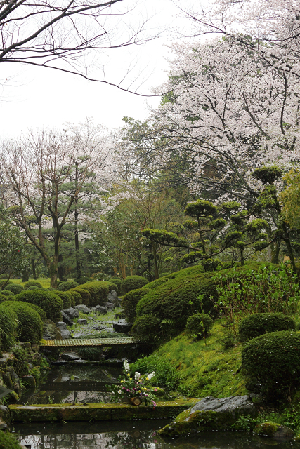 八幡市の桜 －松花堂庭園（前編）－_b0169330_2128352.jpg