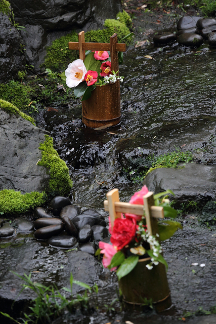 八幡市の桜 －松花堂庭園（前編）－_b0169330_21334152.jpg