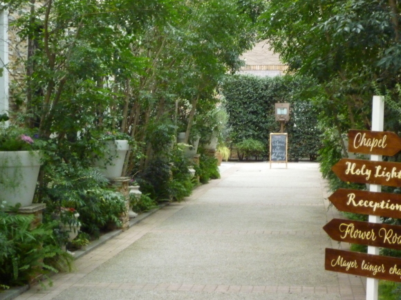 d0334331_20525669.jpg