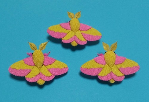 ロージーメープルモス とちみやびの押絵