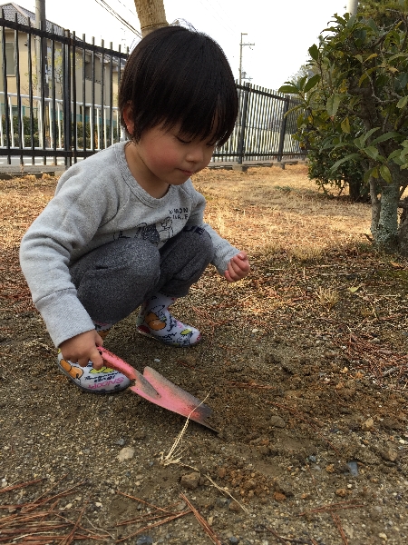普通の日_c0113733_20473616.jpg