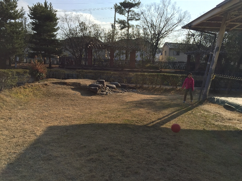 普通の日_c0113733_20482694.jpg