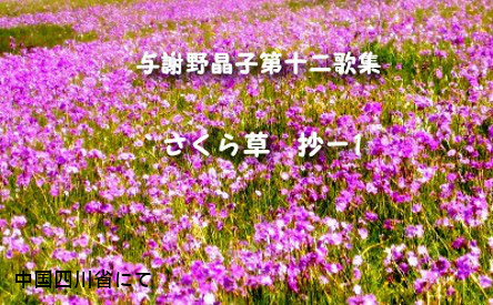 着物ふぁんた△金彩 金駒刺繍 花丸文 桜吹雪 桜尽くし 白藍色