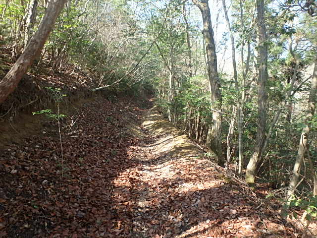 f0334143_21334158.jpg