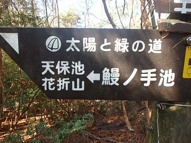 f0334143_21343015.jpg