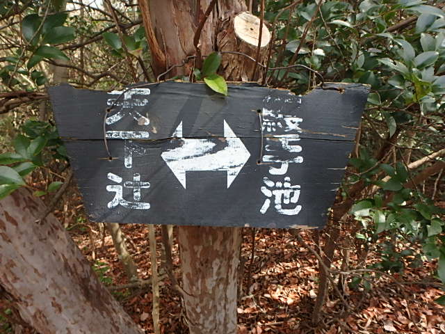 f0334143_21343634.jpg