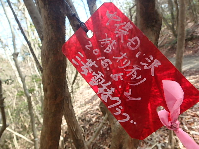 f0334143_21355032.jpg
