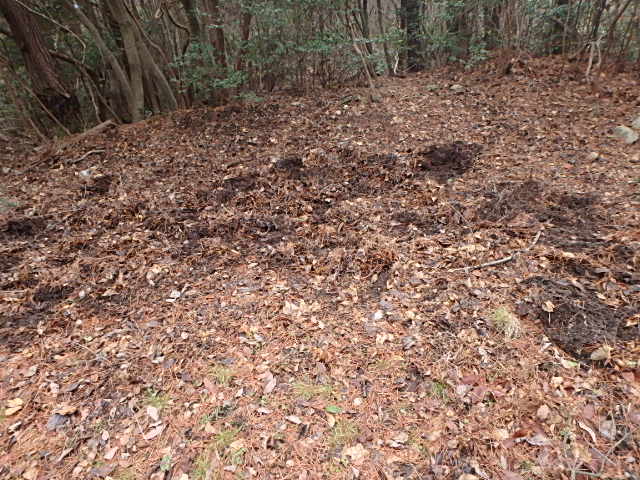 f0334143_21411332.jpg