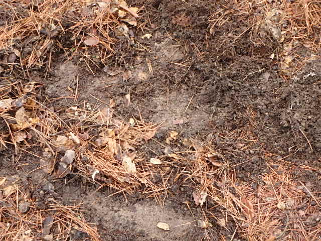 f0334143_21412063.jpg