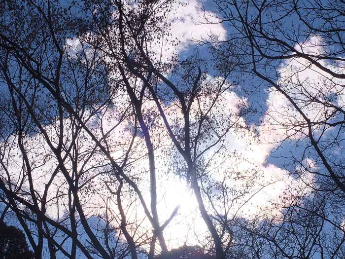 d0185744_18234876.jpg